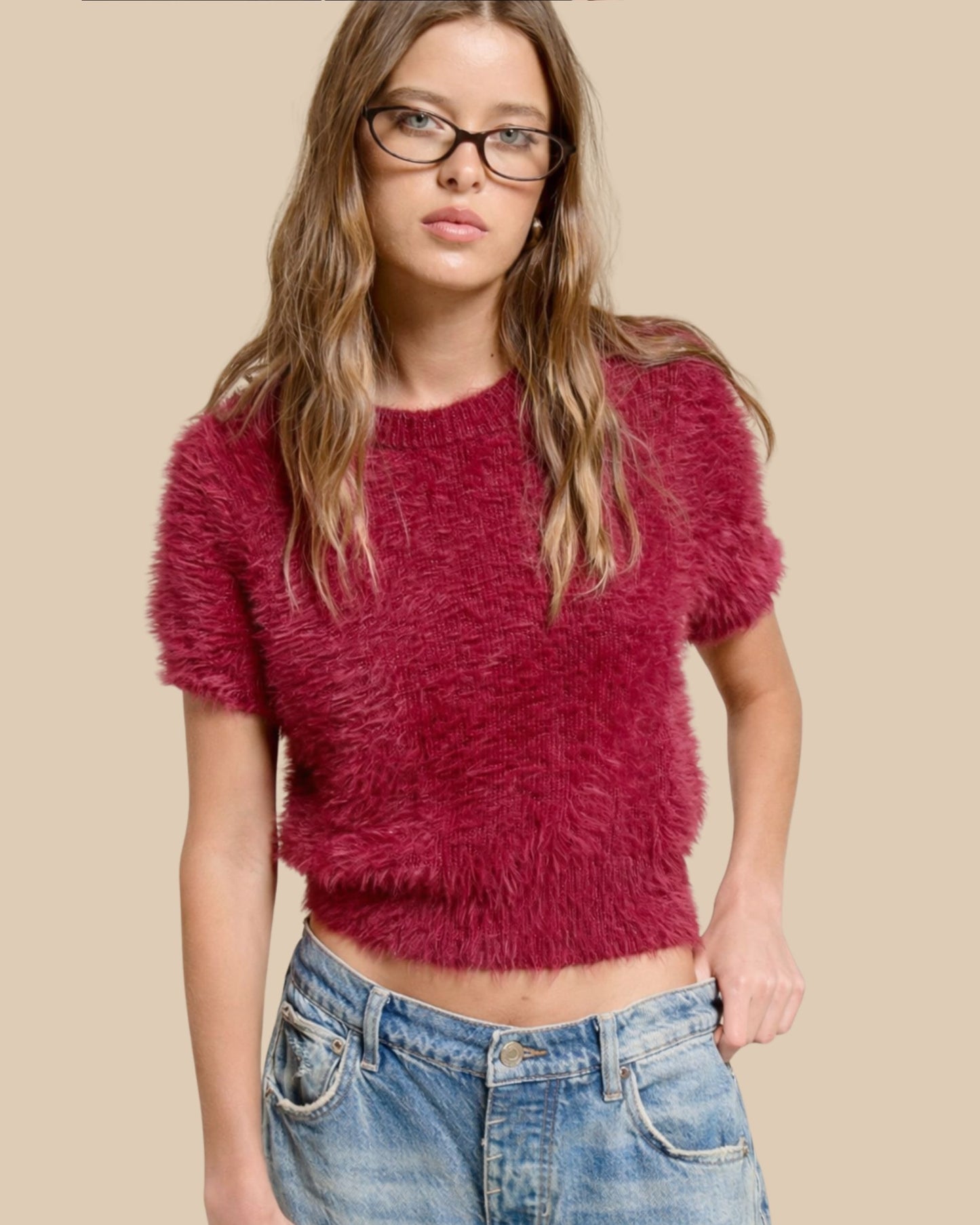Fuzzy Knit Cropped Short Sleeve Sweater