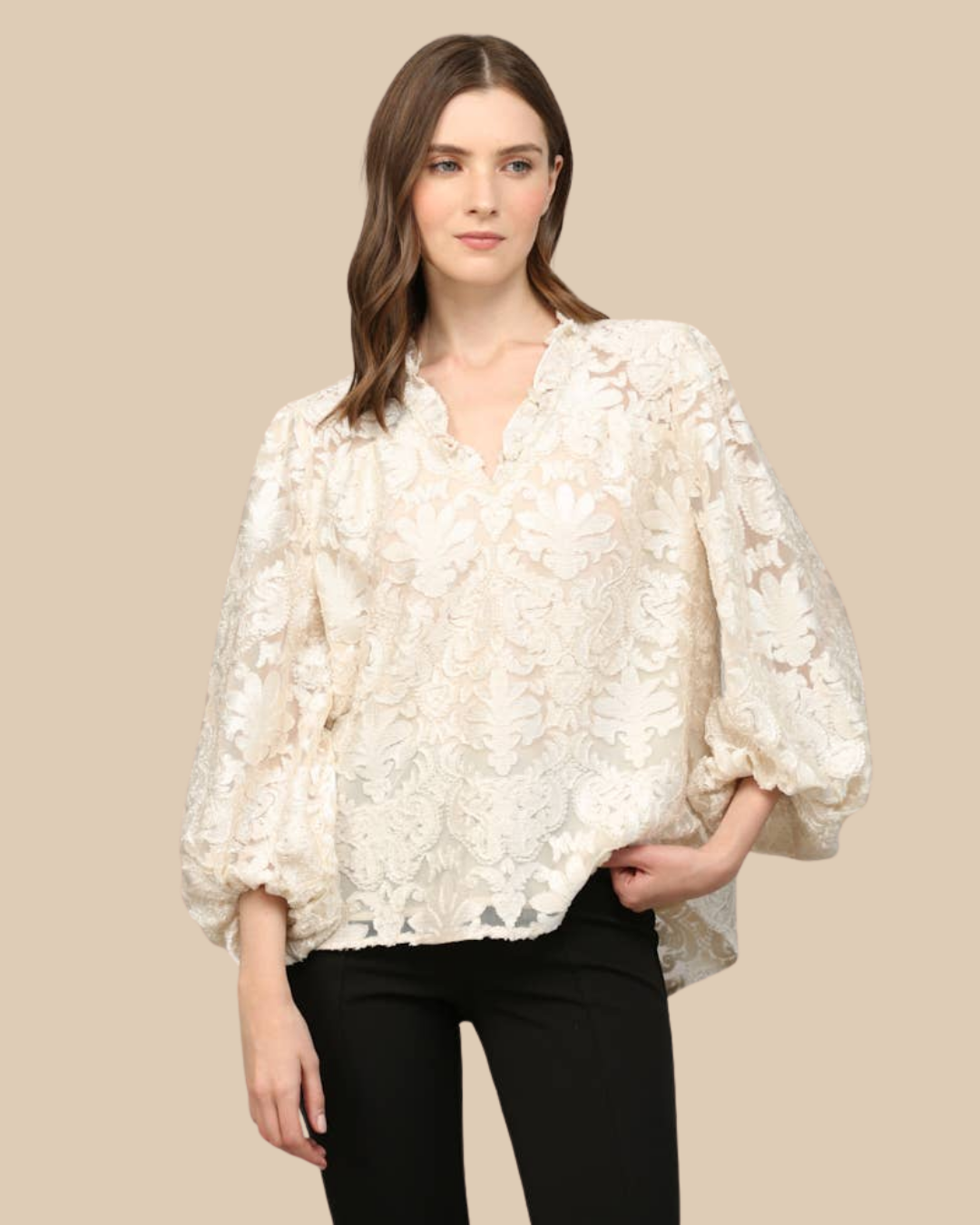 Velvet V Neck Blouse