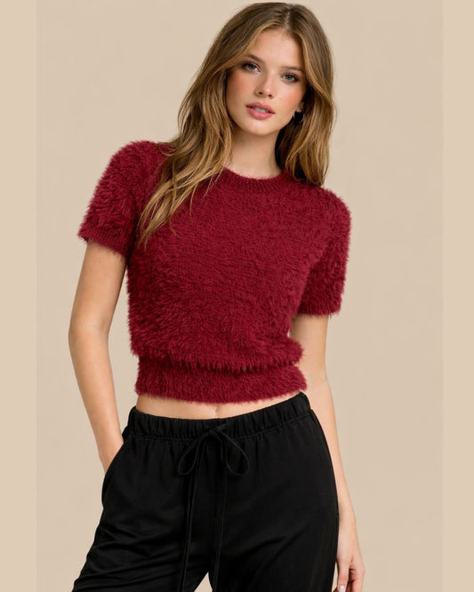 Fuzzy Knit Cropped Short Sleeve Sweater